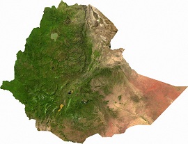 Ethiopia_sat_small.jpg