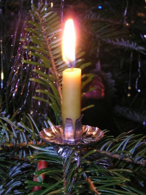 2007 Christmas Tree.
